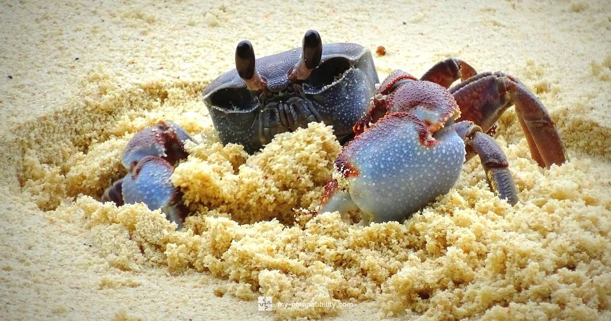 Cancer Compatibility Guide Cancer Compatibility Guide - My Compatibility