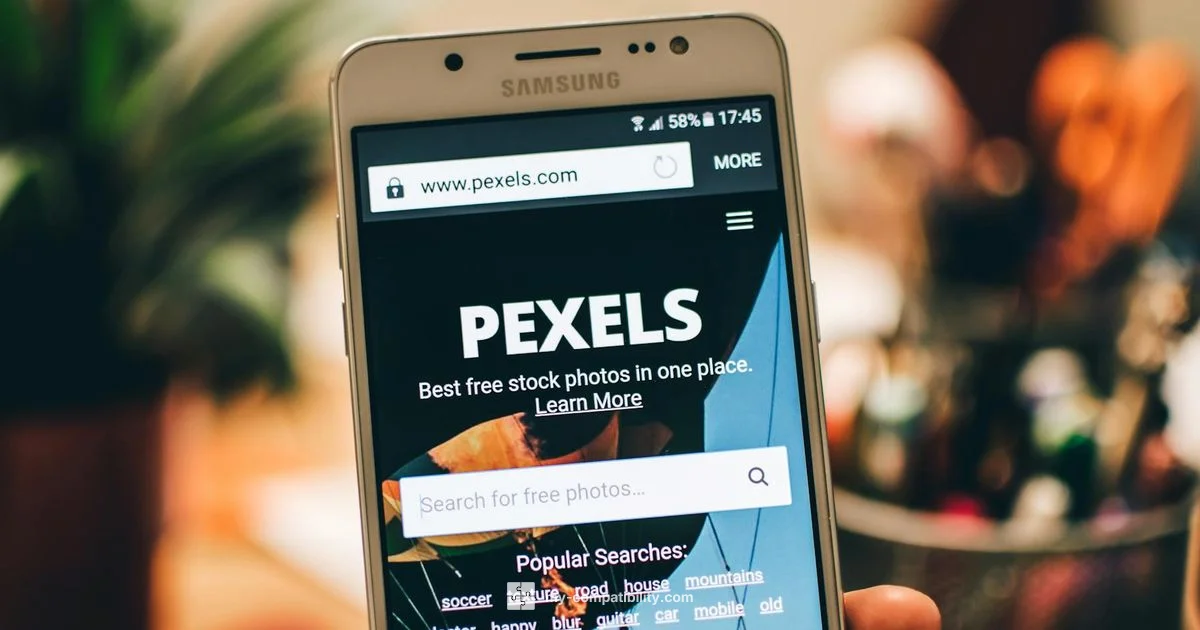 Edge IE Mode Guide - My Compatibility