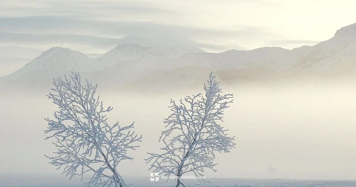 Fire Signs Compatibility - My Compatibility