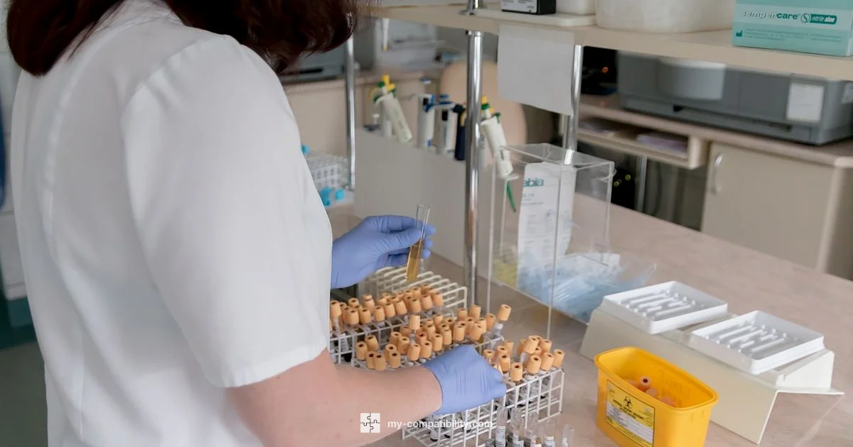 ABO Plasma Compatibility - My Compatibility