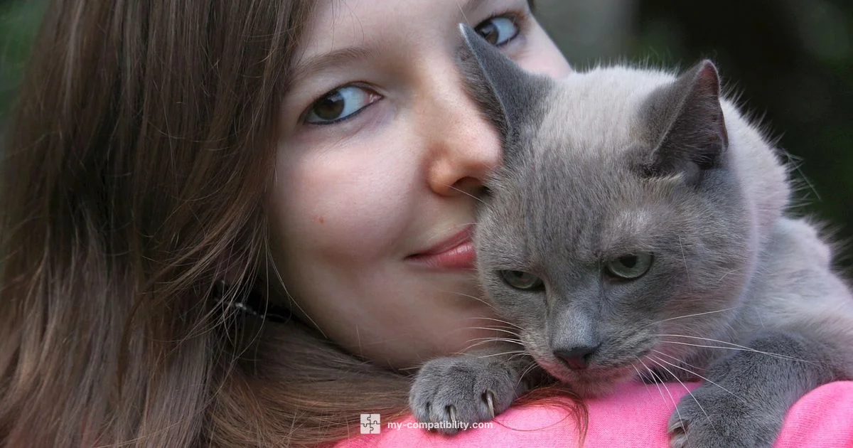 Gemini-Pisces Friendship - My Compatibility