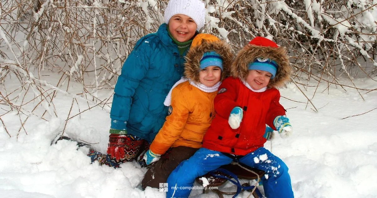 Gemini Compatibility - My Compatibility