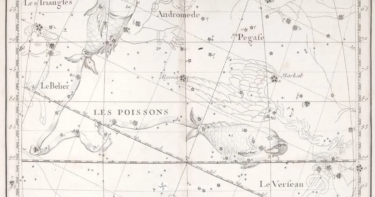 Compatibilidad Aries-Acuario - My Compatibility