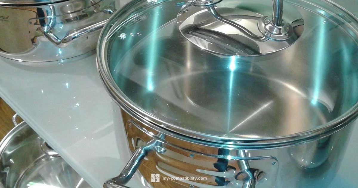 Induction Guide Induction Guide - My Compatibility