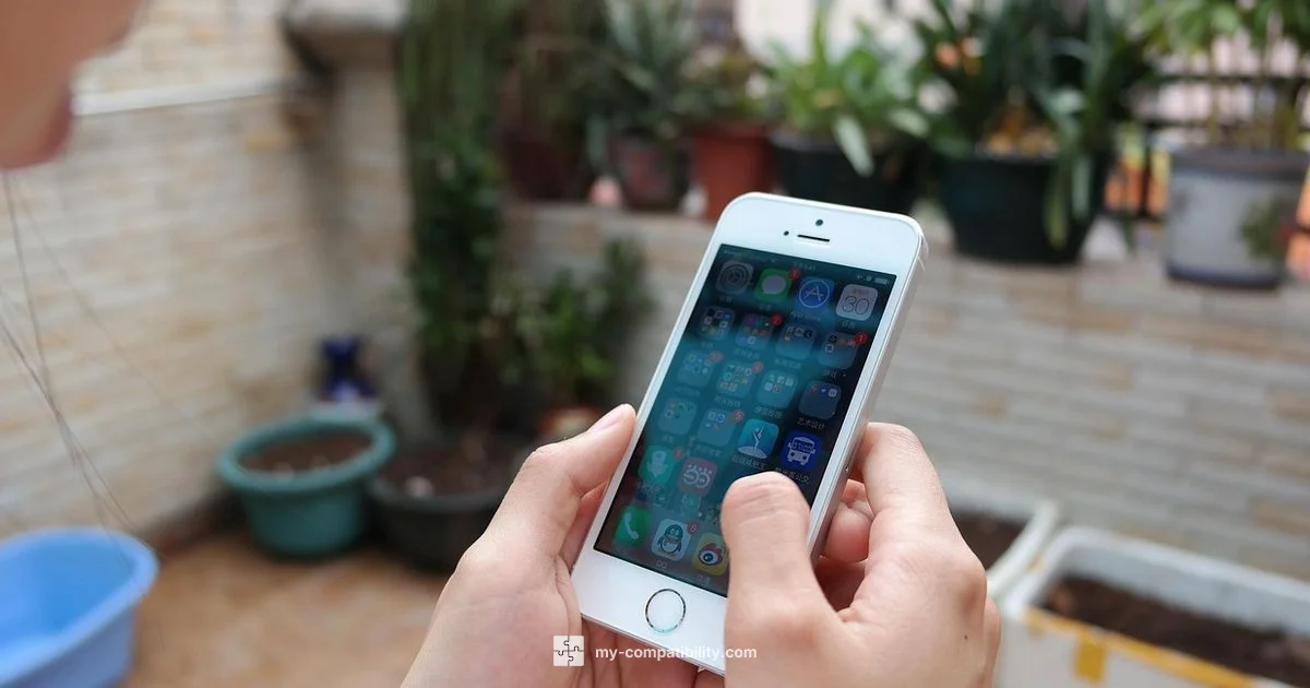 Phone Compatibility Guide - My Compatibility