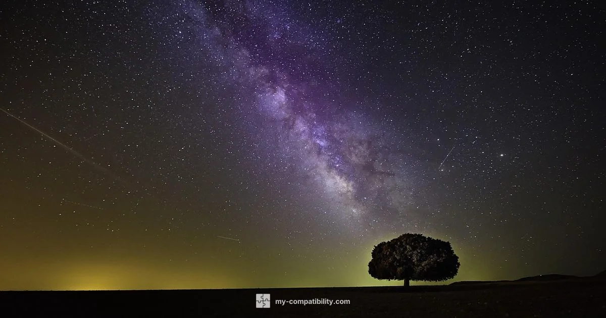 Cosmic Matches - My Compatibility