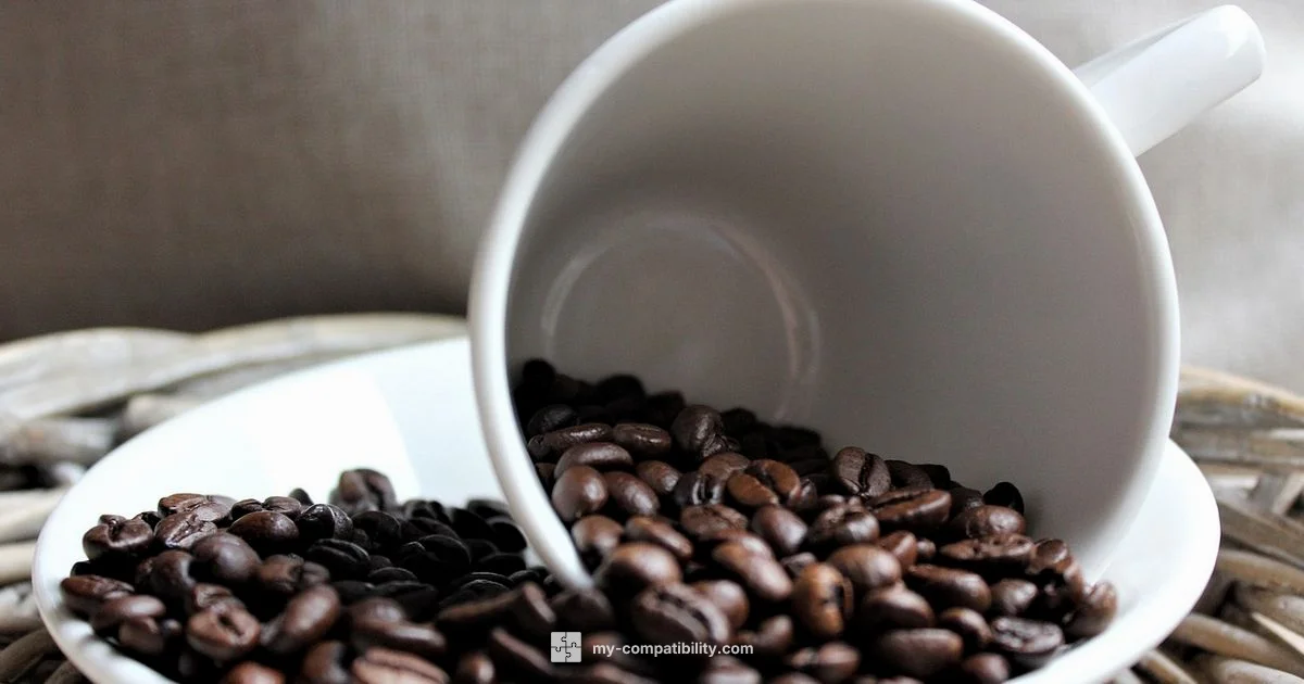 K-Cup vs Nespresso - My Compatibility