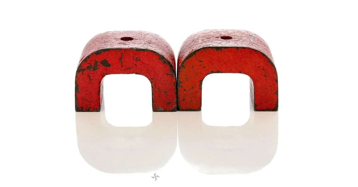 MagSafe Case Magnets - My Compatibility