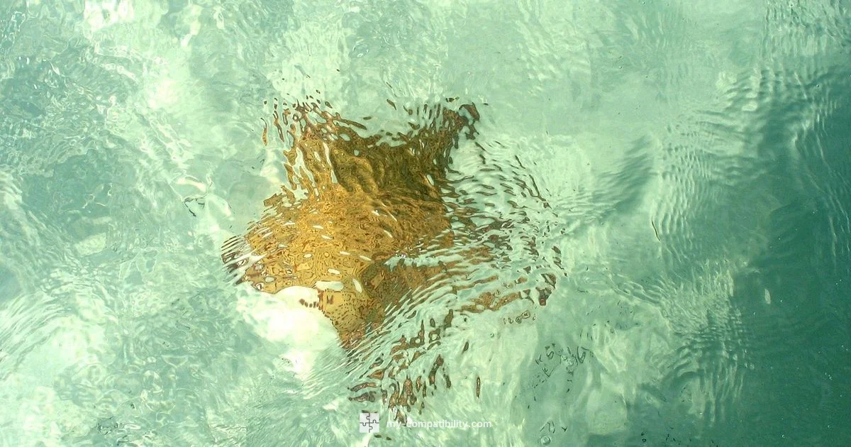 Cosmic Compatibility Guide - My Compatibility