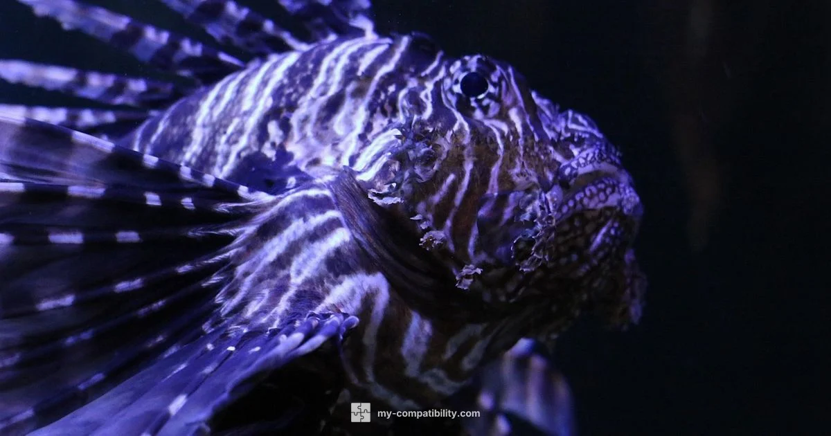 Pisces Worst Match - My Compatibility