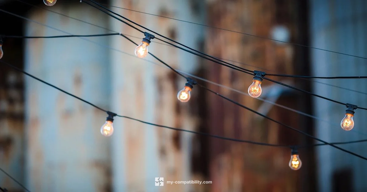 Lutron Bulbs Setup - My Compatibility