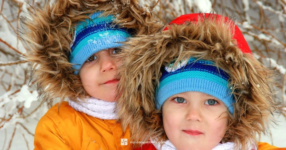 Gemini Compatibility Guide - My Compatibility