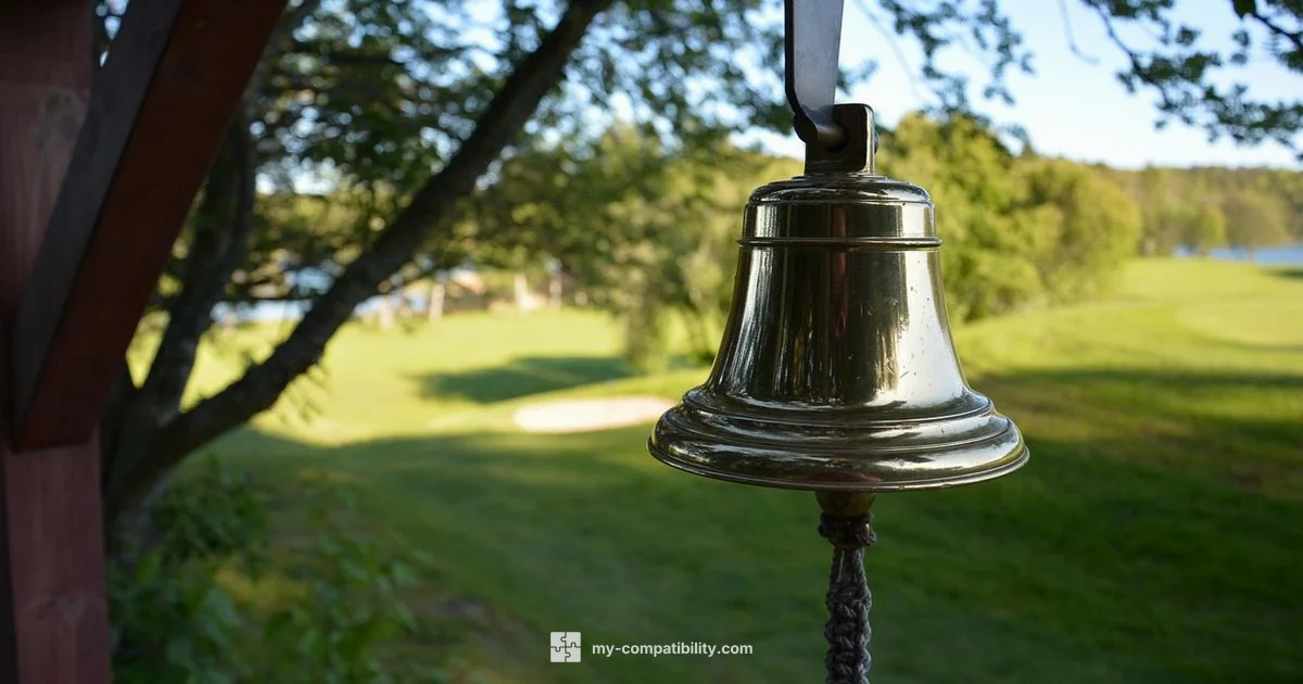 Ring Chime Guide - My Compatibility