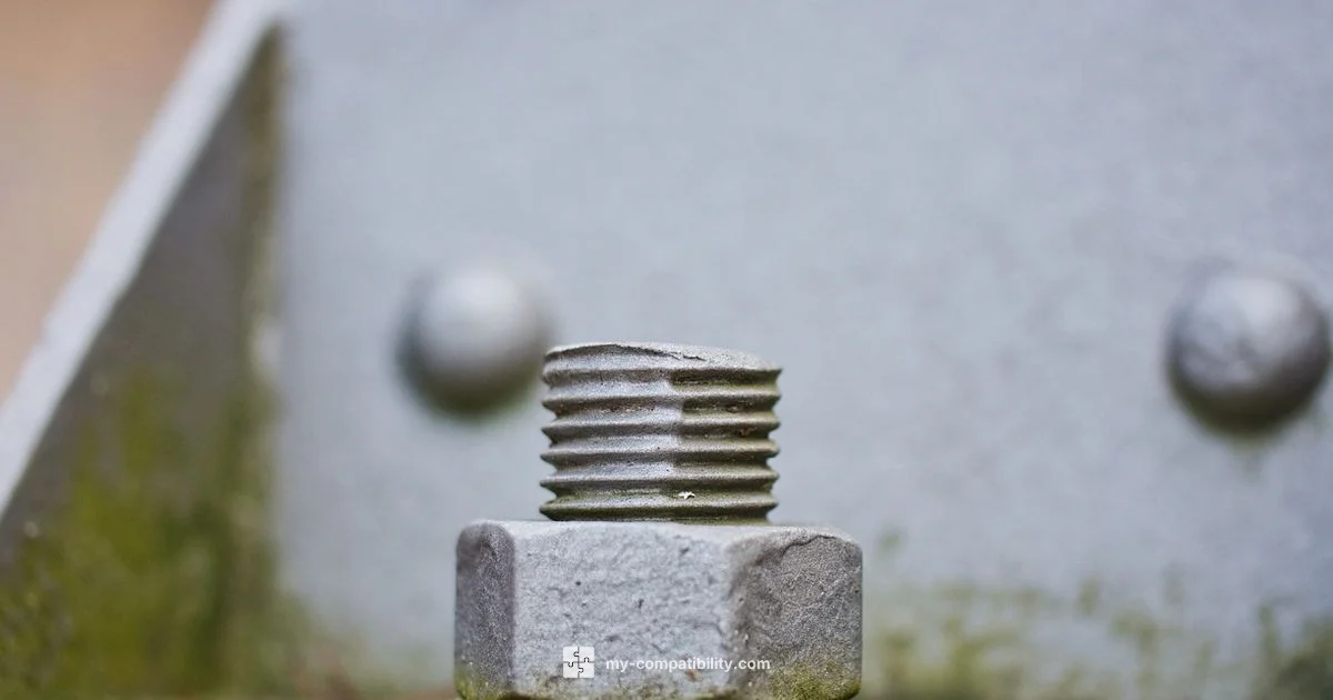 G vs NPT Connect - My Compatibility