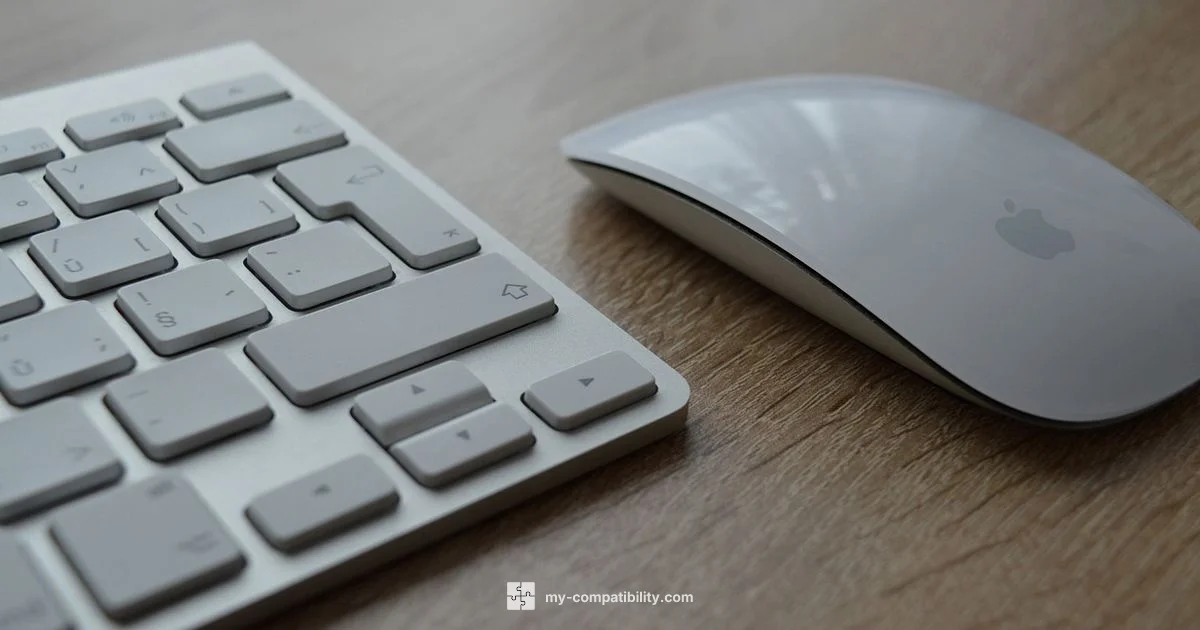 Magic Keyboard Guide - My Compatibility