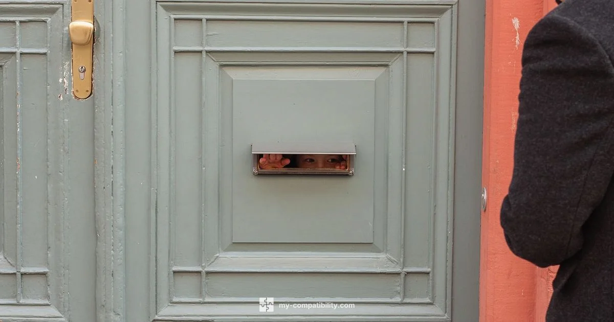 Ring‑Ready Chime - My Compatibility