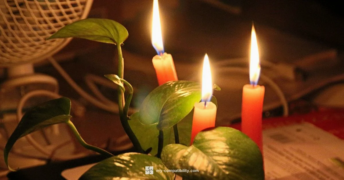 Number 6 in Love - My Compatibility