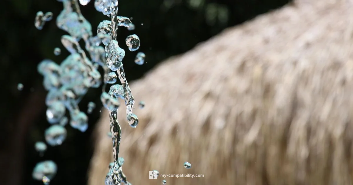 Sagitario x Tauro - My Compatibility