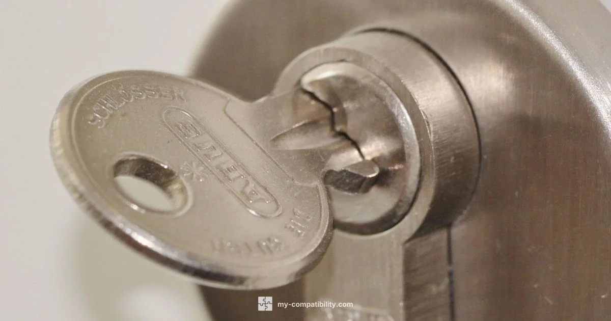 Ring-Ready Locks - My Compatibility