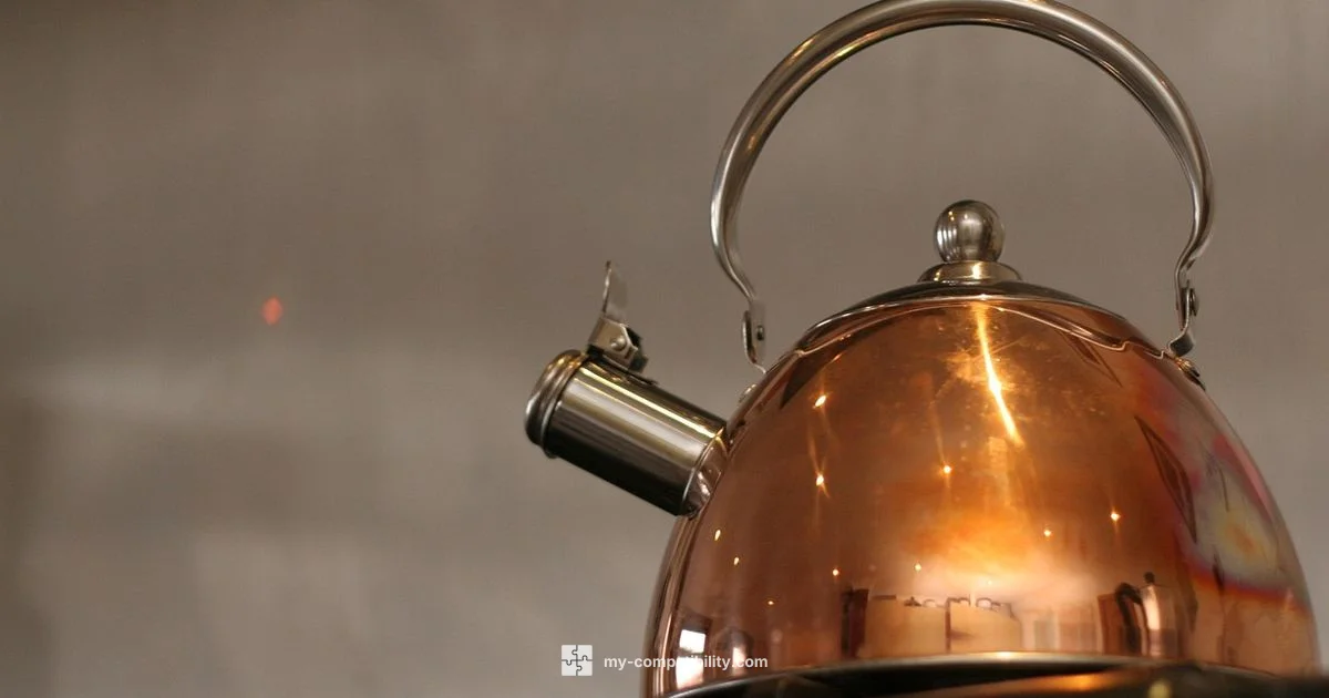 Induction Kettle Guide - My Compatibility