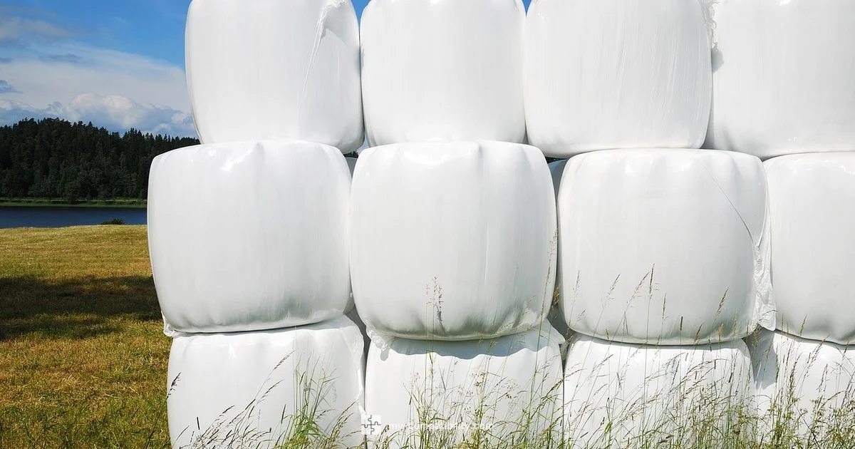 Bioactive Polymers Journal - My Compatibility