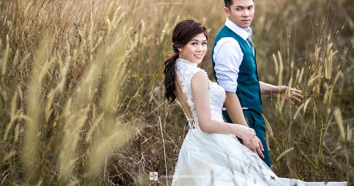 Telugu Marriage Fit - My Compatibility