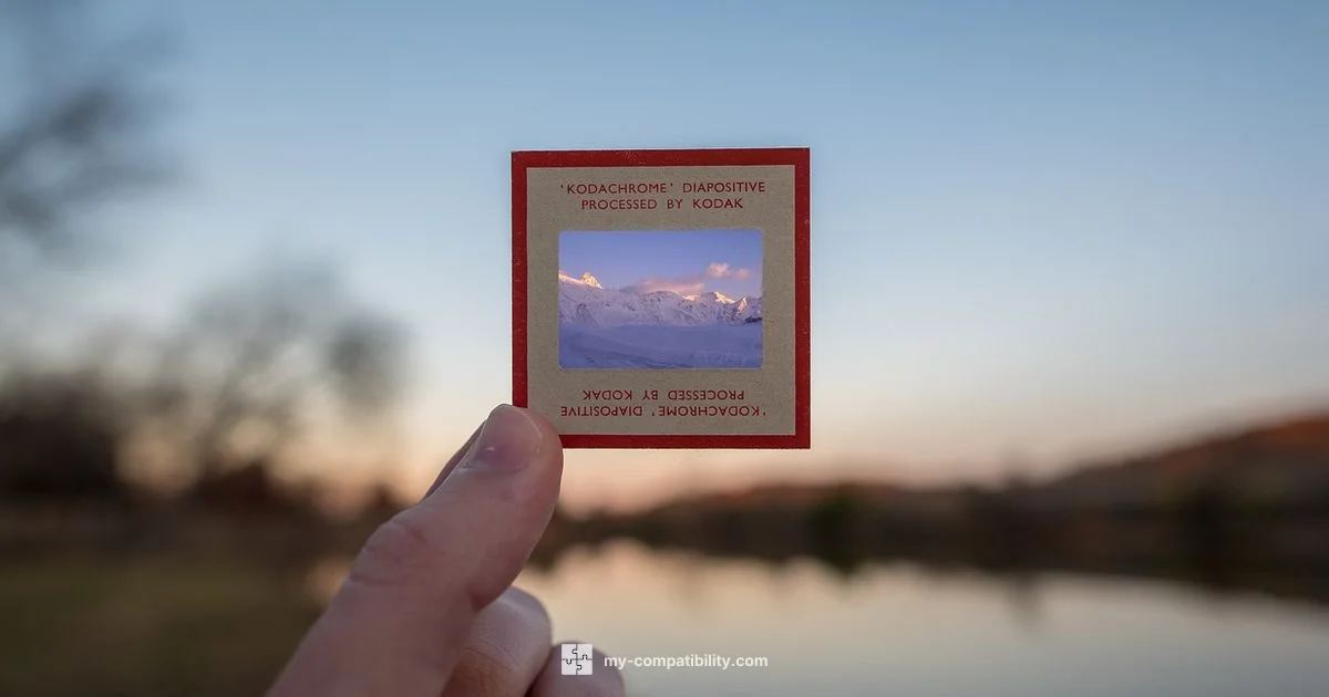 GPU Compatibility - My Compatibility