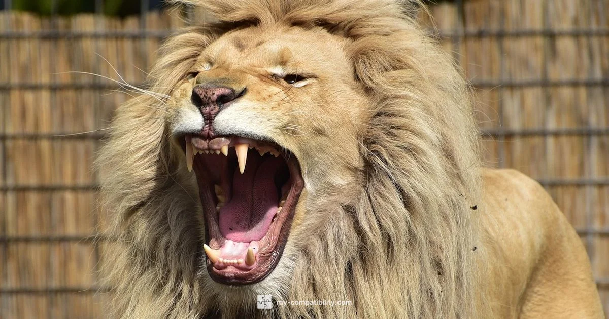 Leo Meets Pisces - My Compatibility