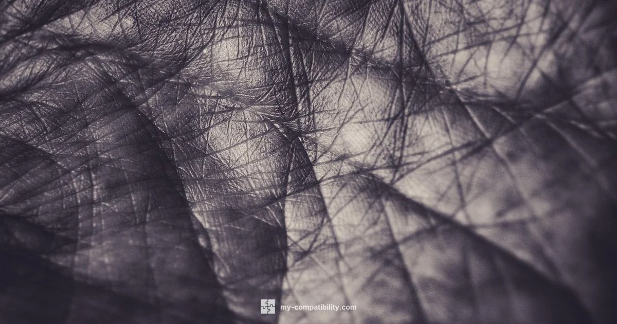 Life Numbers Harmony - My Compatibility