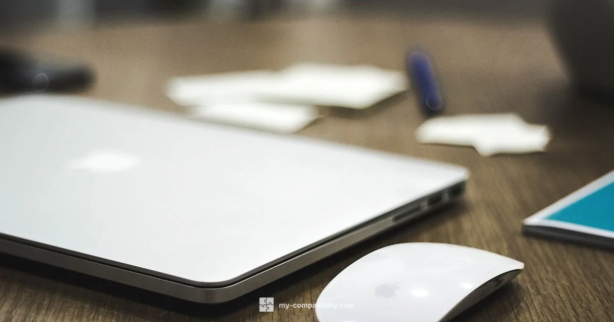 MacBook Air Mouse Guide - My Compatibility